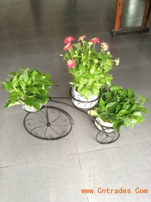 客家園藝 專業(yè)室內(nèi)花木租擺，綠化植物租賃首選