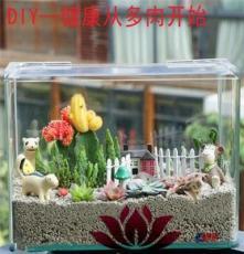 上海清繪園藝養護服務 以專業匠心，守護城市綠意之美